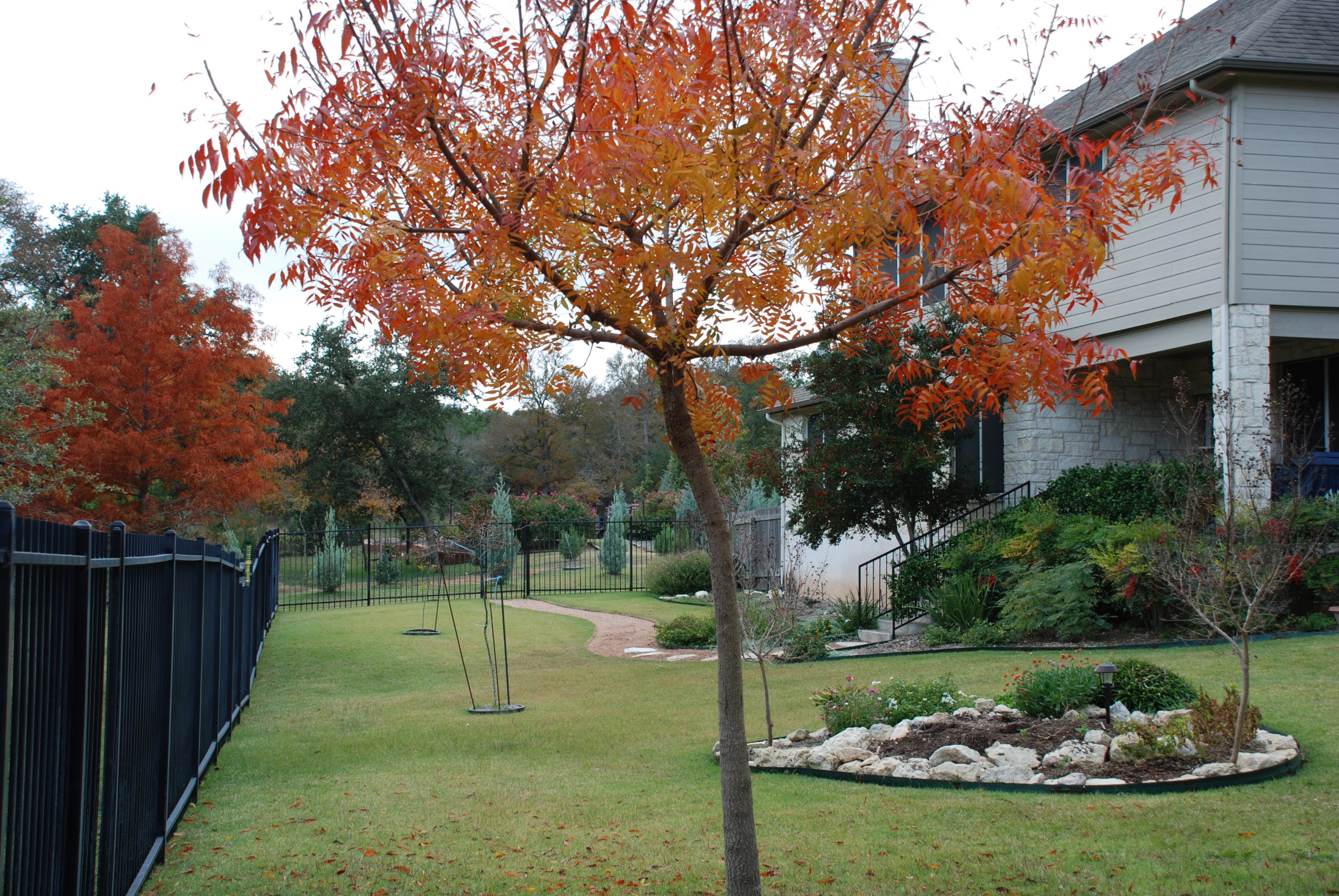 6607 Conifer Cove 50 78736.jpg